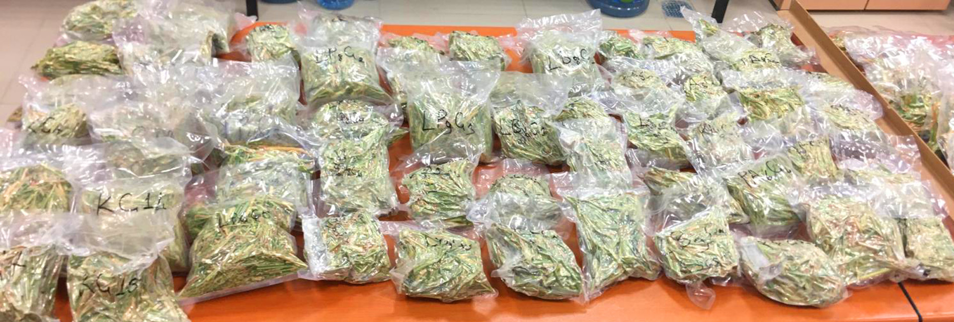 FİLİK NANOBİOAGROTECH